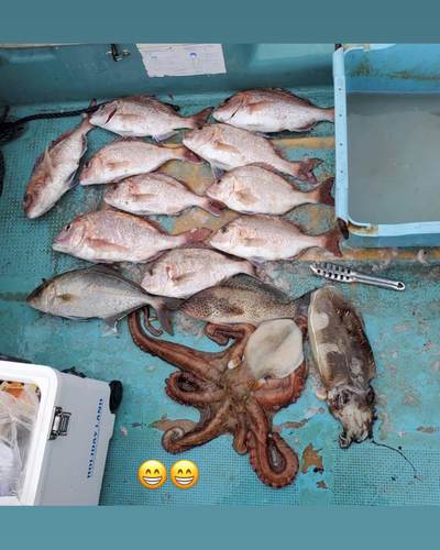 タイの釣果