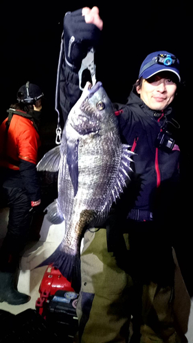 チヌの釣果