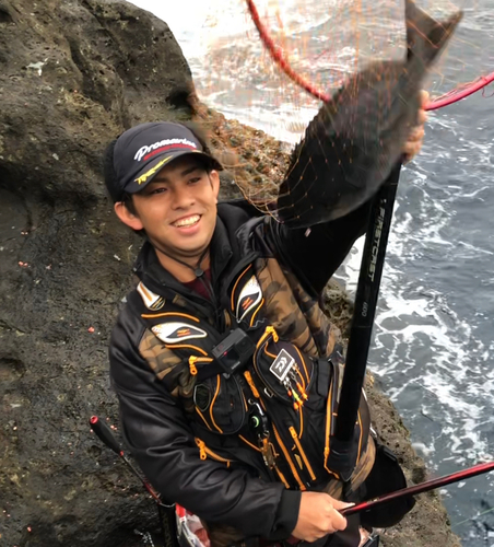 オナガグレの釣果