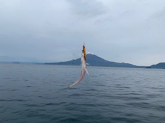 エソの釣果