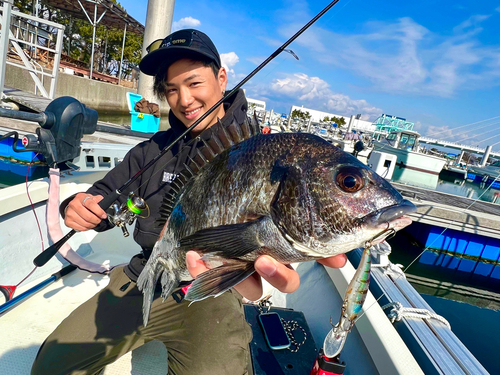 クロダイの釣果