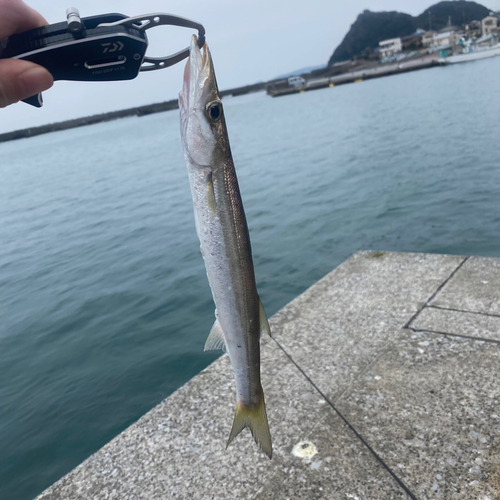 釣果