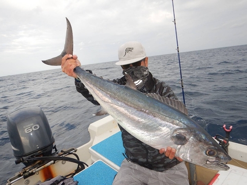 イソマグロの釣果