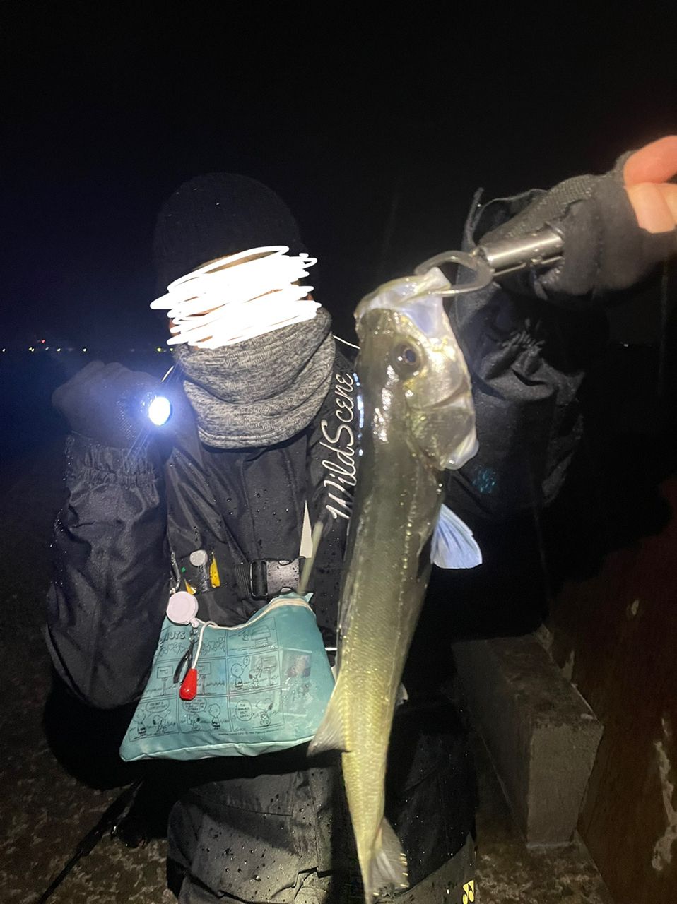 フッコ（ヒラスズキ）