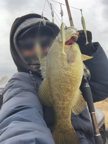 スモールマウスバスの釣果