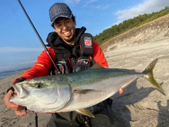 ブリの釣果