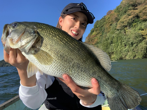 ブラックバスの釣果