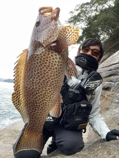 オオモンハタの釣果