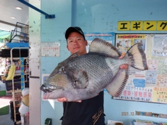 ゴマモンガラの釣果