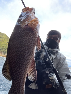 オオモンハタの釣果