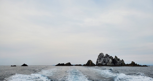 メジナの釣果