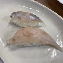 メダイの釣果