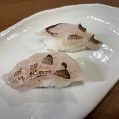 オオメハタの釣果