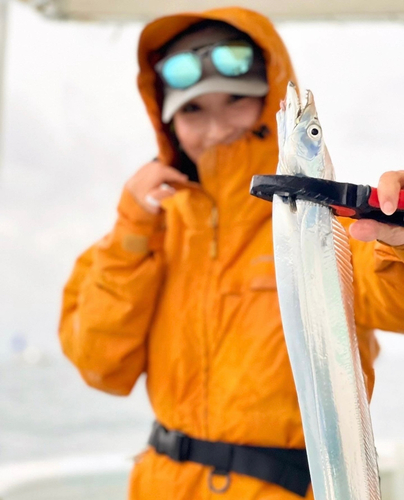 タチウオの釣果