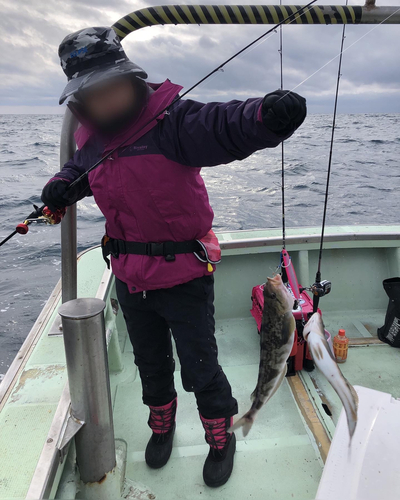 ホッケの釣果