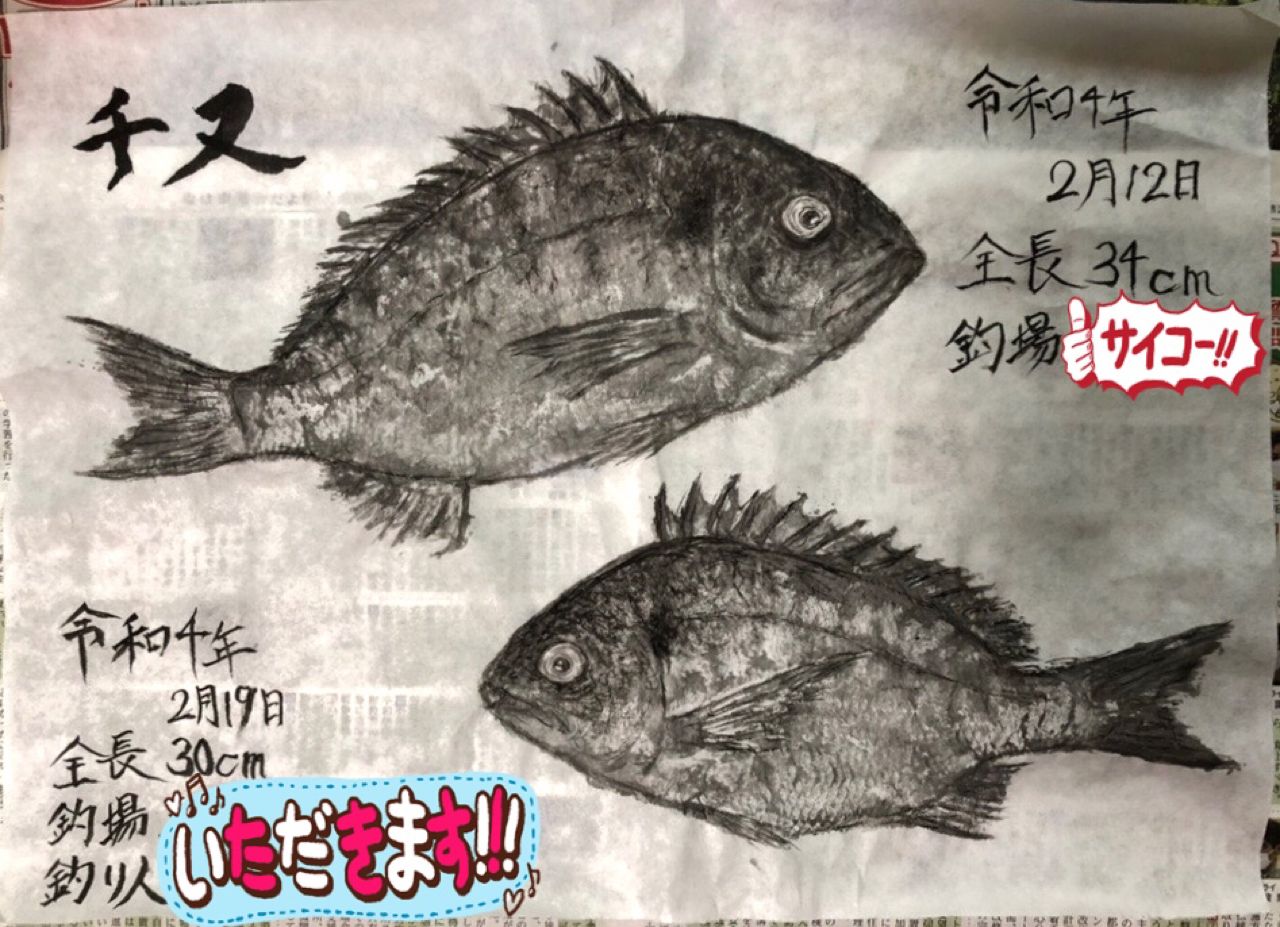 ミナミクロダイ