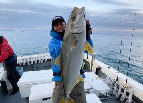 ヒラマサの釣果