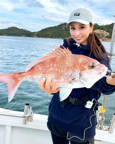 マダイの釣果