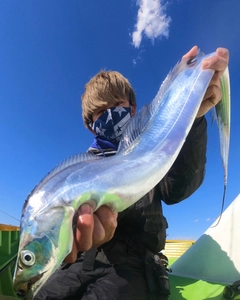 タチウオの釣果