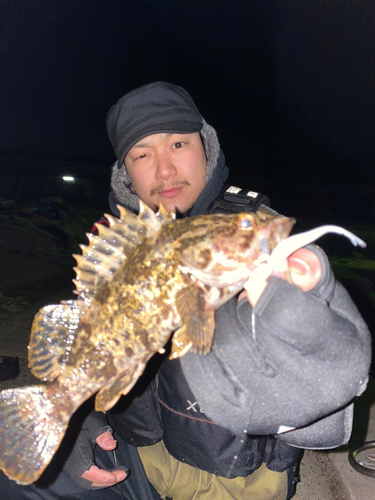 タケノコメバルの釣果