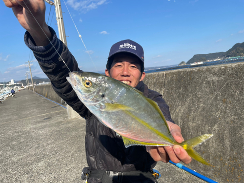 シマアジの釣果