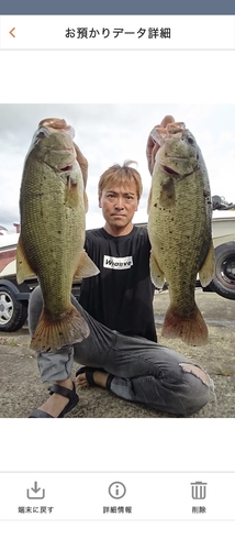 ブラックバスの釣果