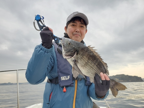 クロダイの釣果