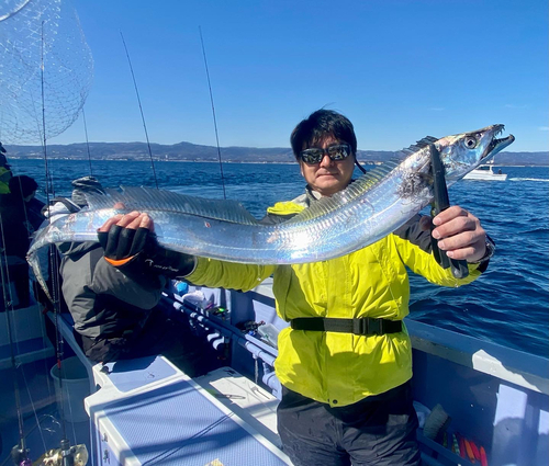 タチウオの釣果