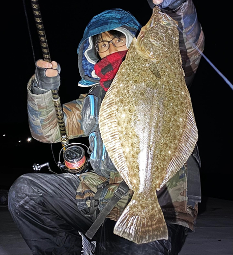 ヒラメの釣果