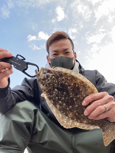 ヒラメの釣果