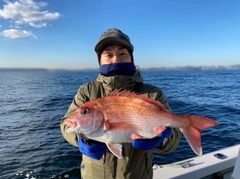 マダイの釣果