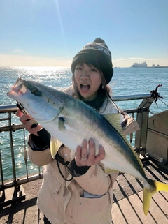 ワラサの釣果