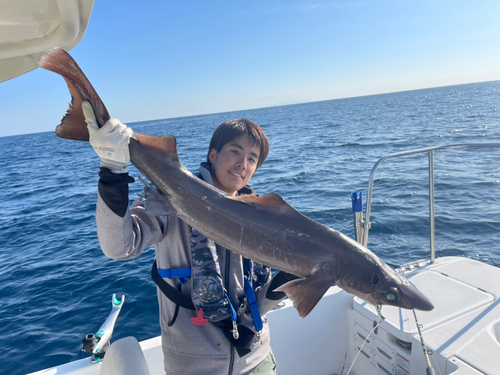 タロウザメの釣果