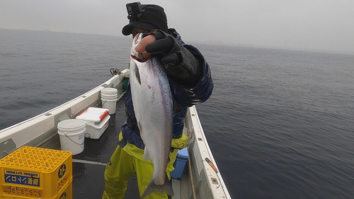 サクラマスの釣果