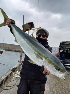 ワラサの釣果