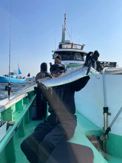 タチウオの釣果