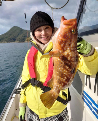 アオハタの釣果