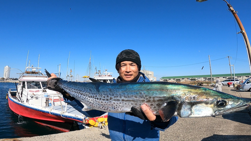 サワラの釣果