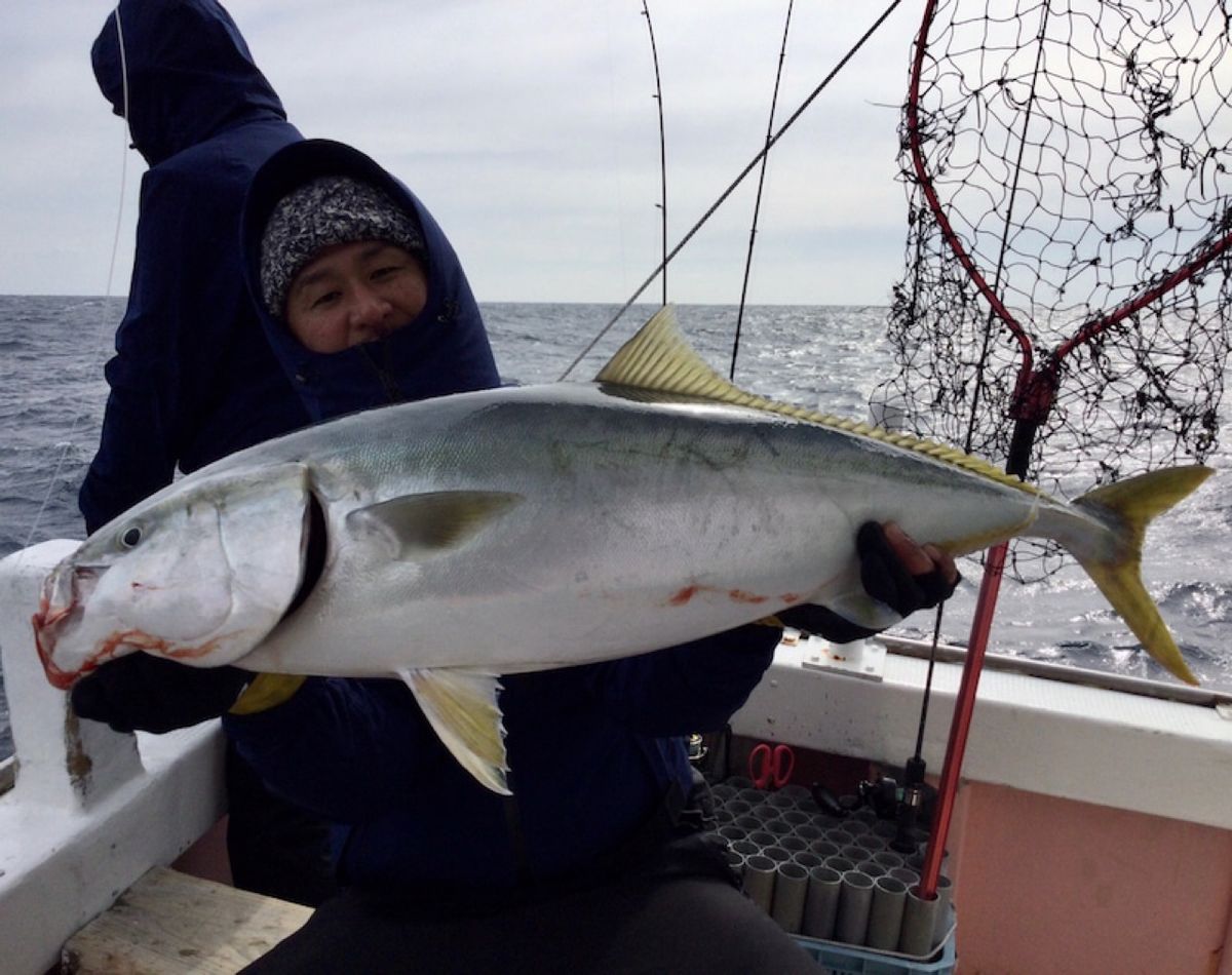 ９８jigingerさんの釣果 3枚目の画像