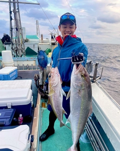 ヒレナガカンパチの釣果