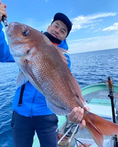 マダイの釣果