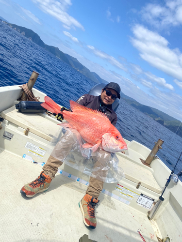 タテフエダイの釣果