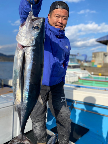 ビンチョウマグロの釣果