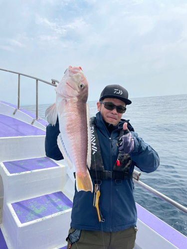 シロアマダイの釣果