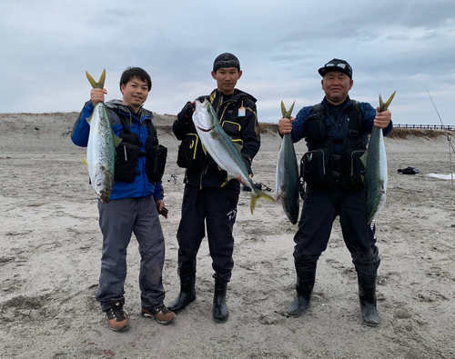 ブリの釣果