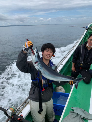 アオザメの釣果