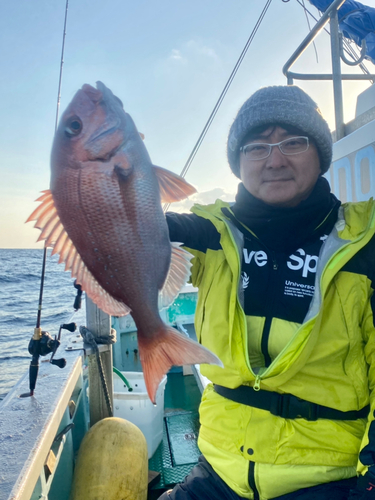 マダイの釣果