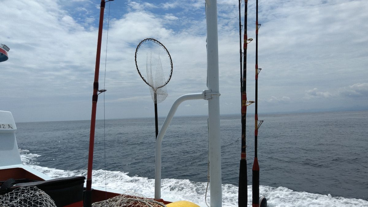 とぉくんさんの釣果 2枚目の画像