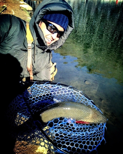 トラウトの釣果