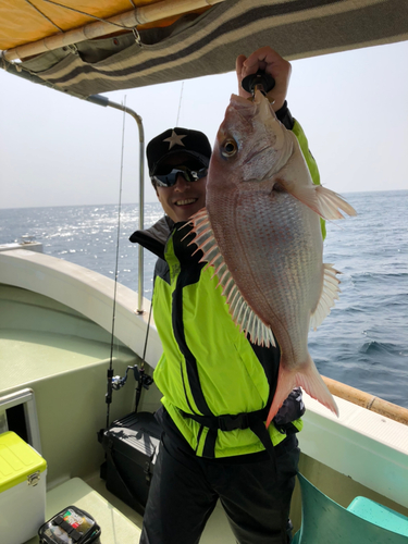 マダイの釣果